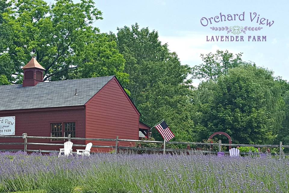 Orchard View Lavender Farm