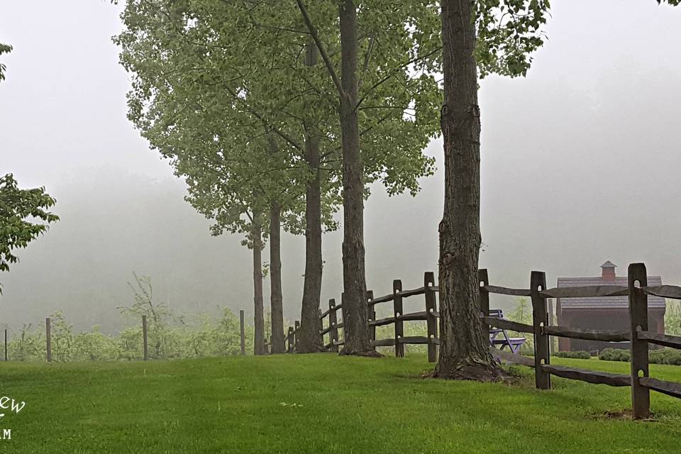 Orchard View Lavender Farm