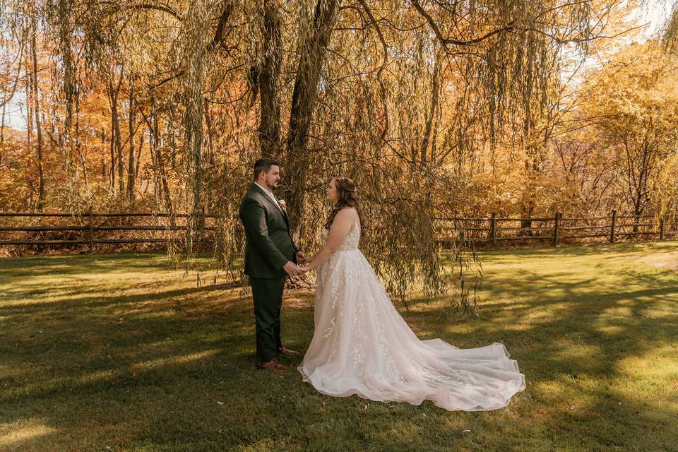 Willow Trees