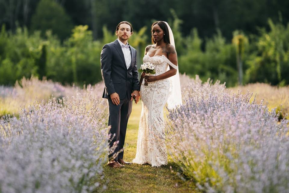 Lavender Field