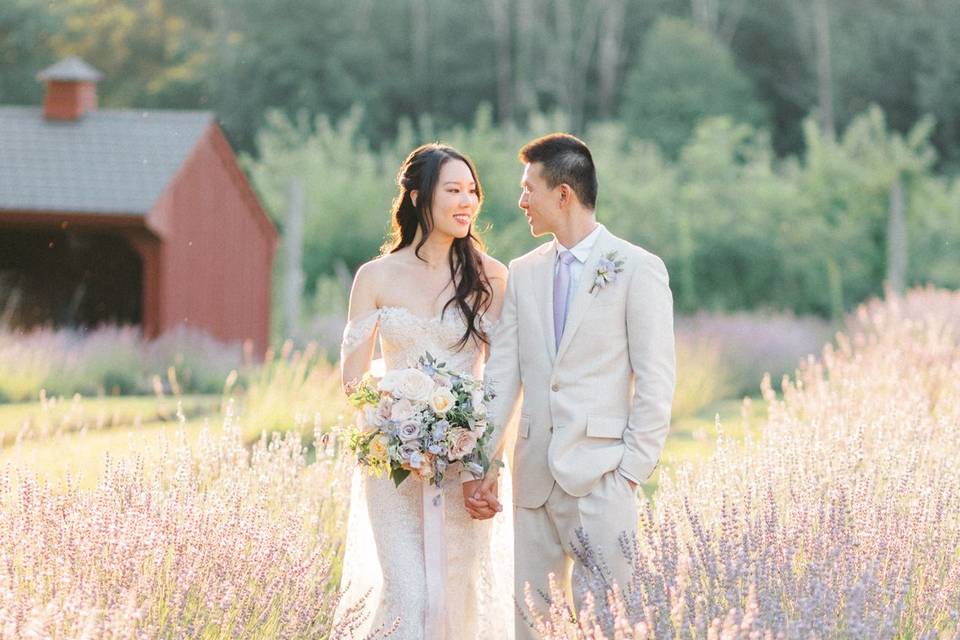 Lavender Field