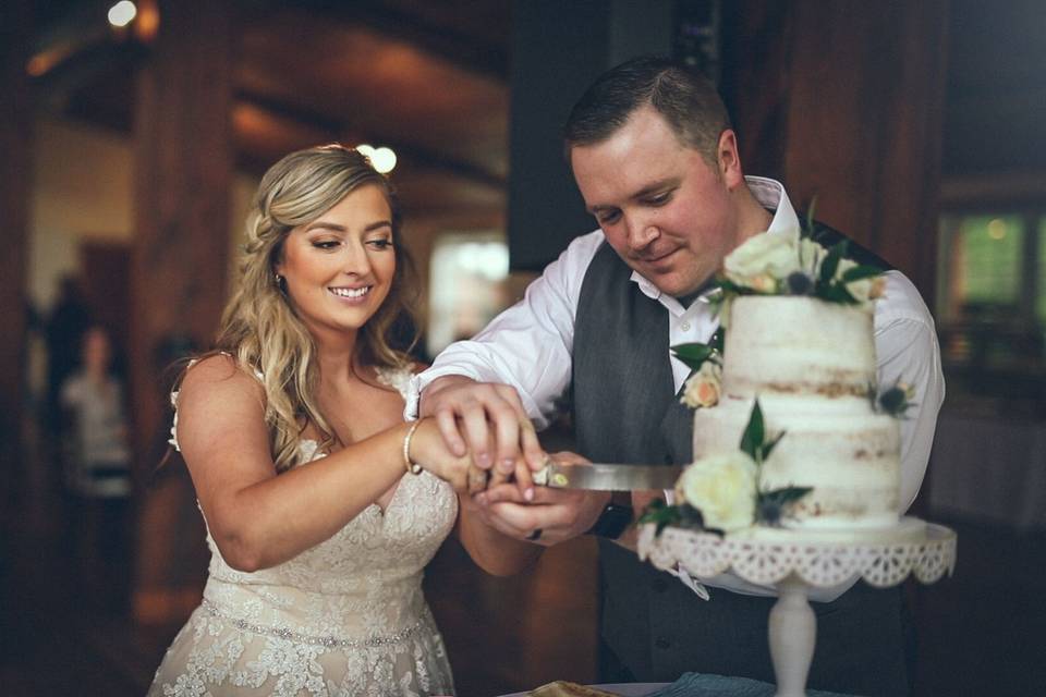 Cake Cutting