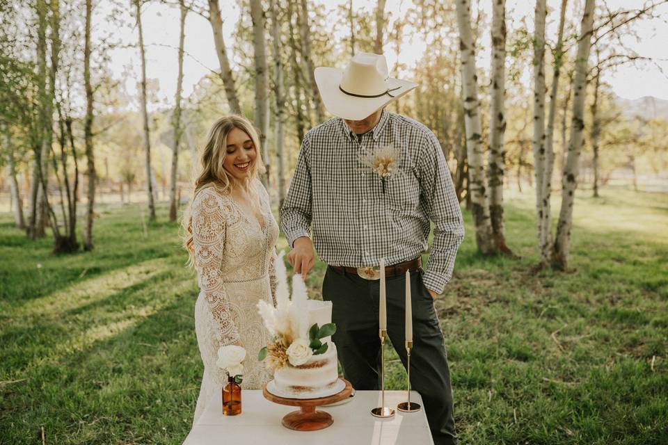 Wedding cake cutting