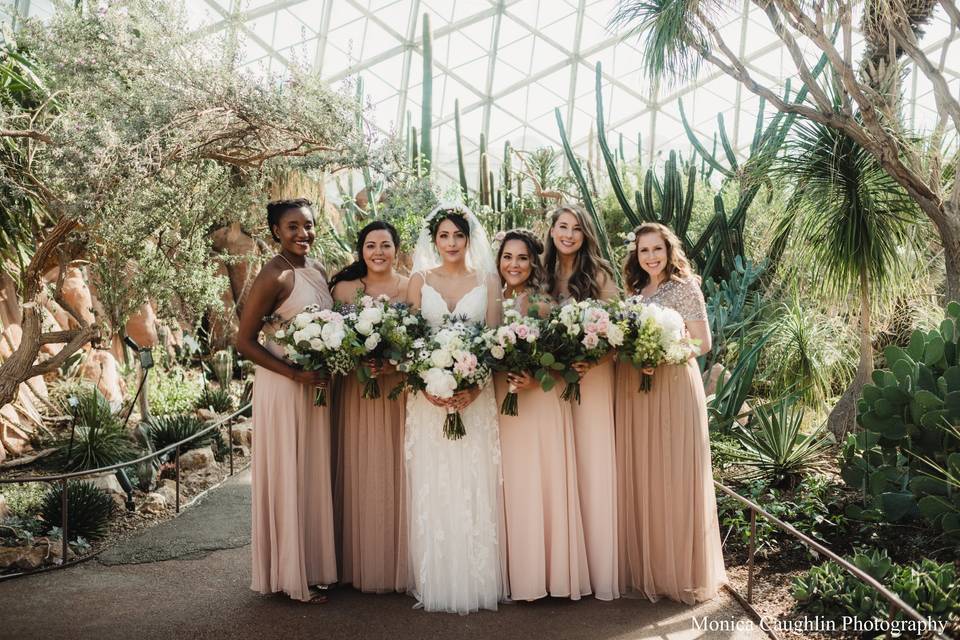 Photos in the Desert Dome