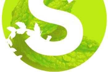 Spearmint Studio