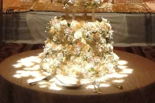 This Wedding Cake has its own special spot light!