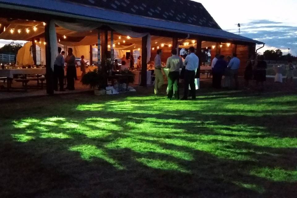 Domino's Farm Lawn Lighting