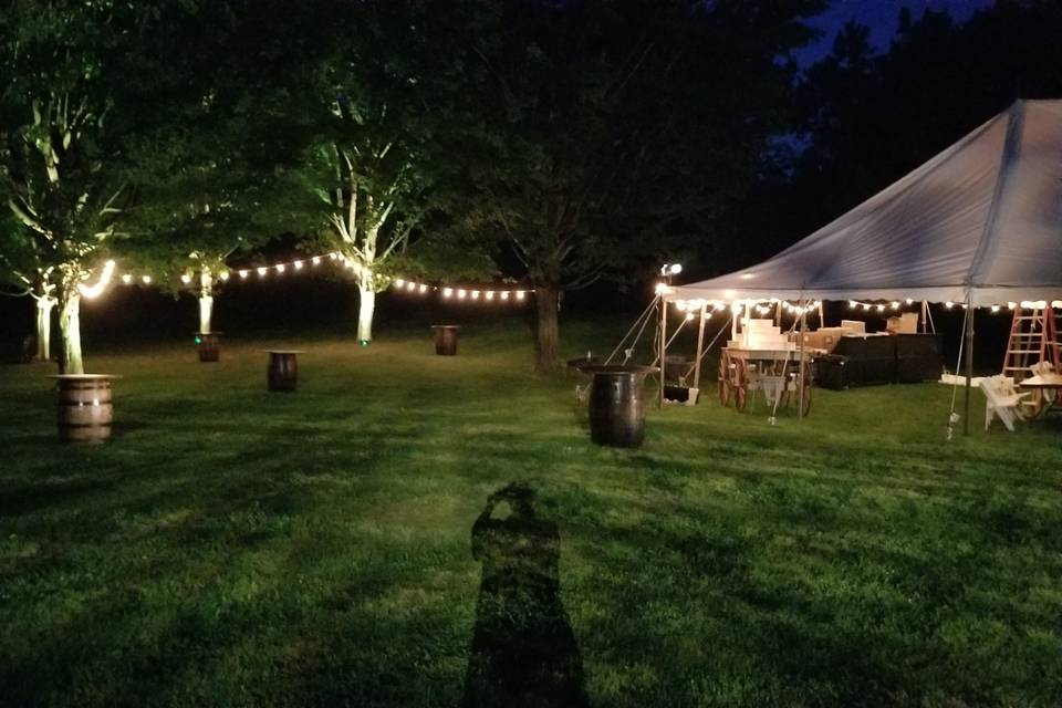 Yard & Game Area lights