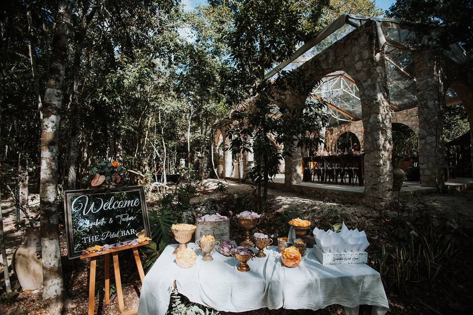 L&L Your Wedding Planner Tulum