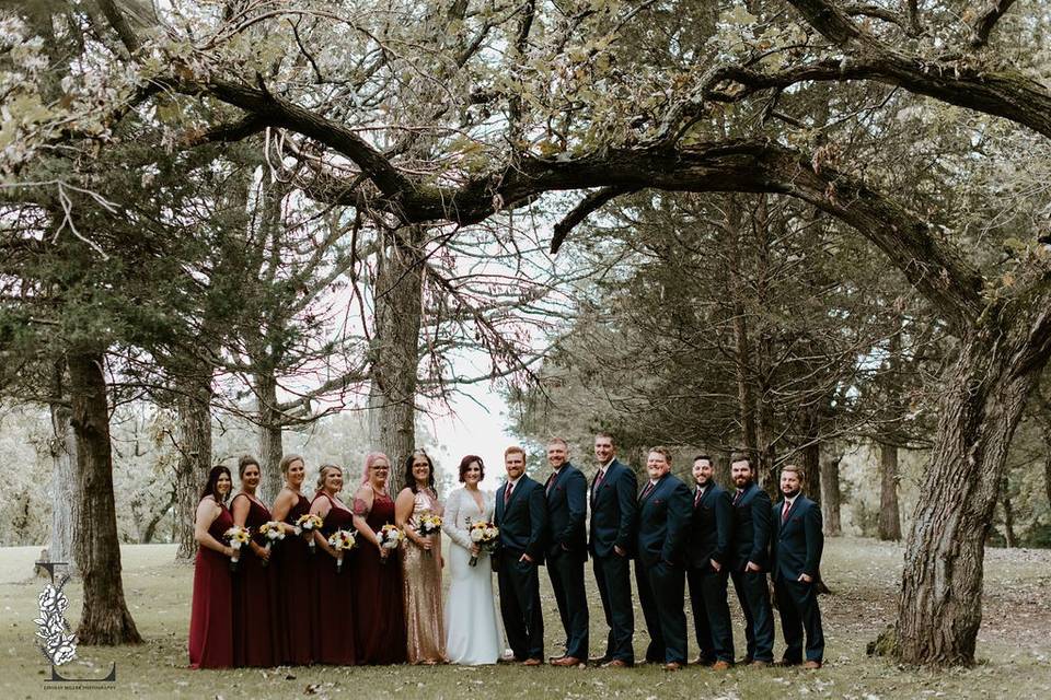 Bridal Party under tree