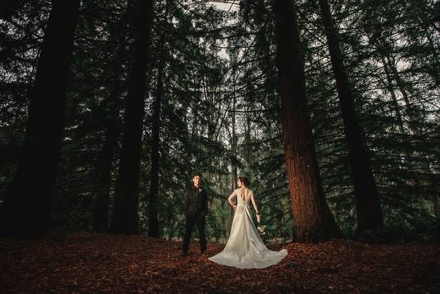 Woodland wedding