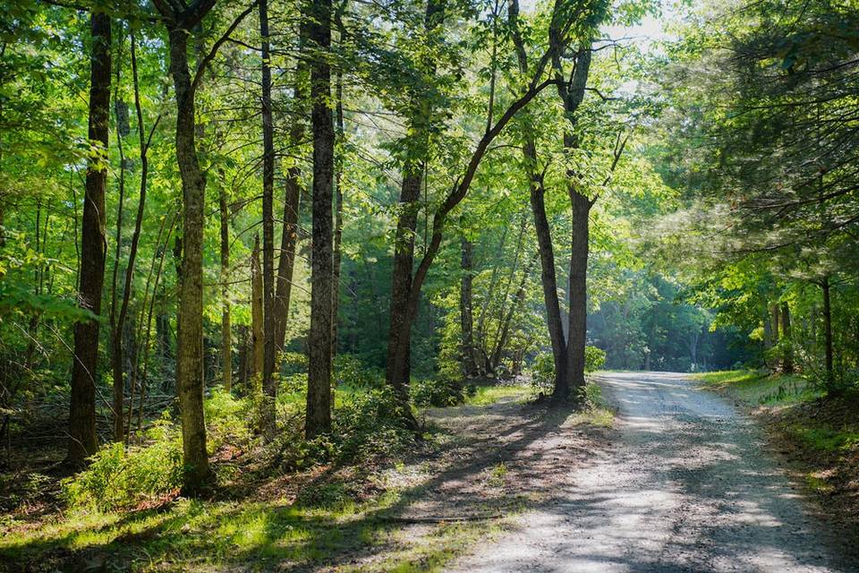 Wooded ceremonies