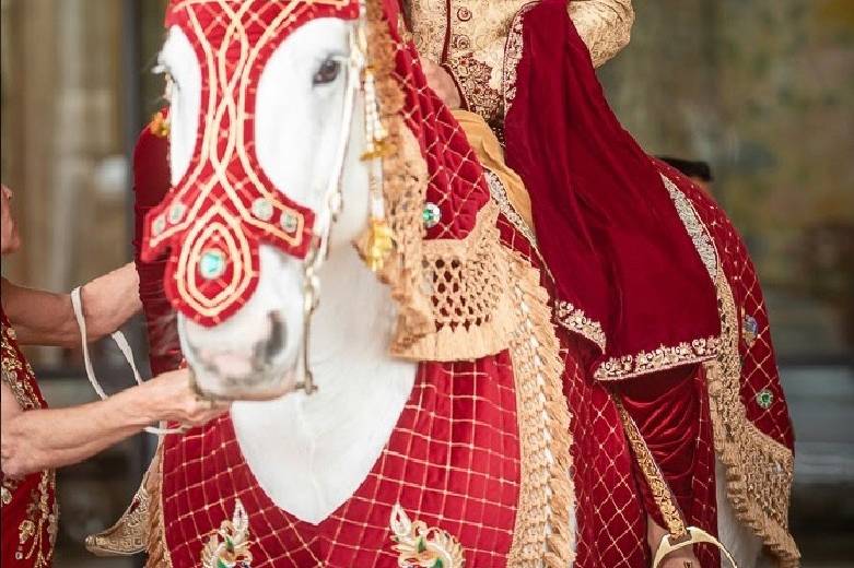 South Asian Wedding
