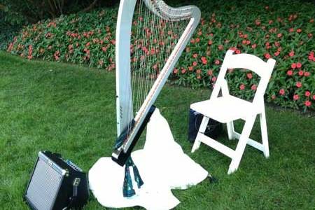 A view of the special harp I use for outdoor ceremonies.