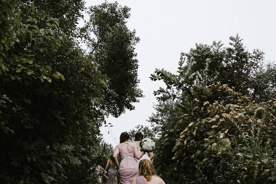 Bridesmaids on Cape Cod