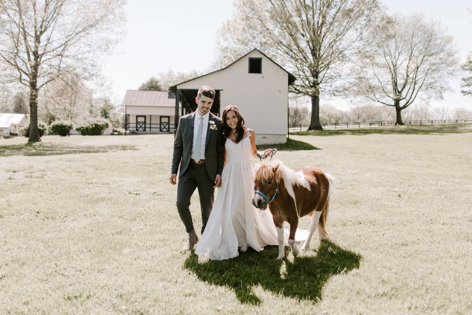 Lace A-Line Wedding Dress