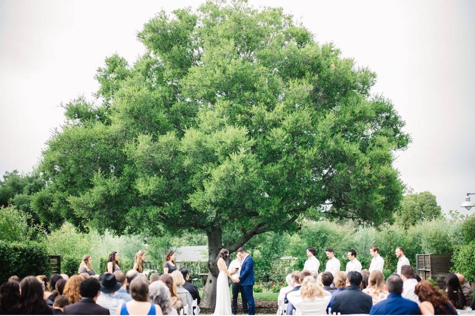 Outdoor ceremony