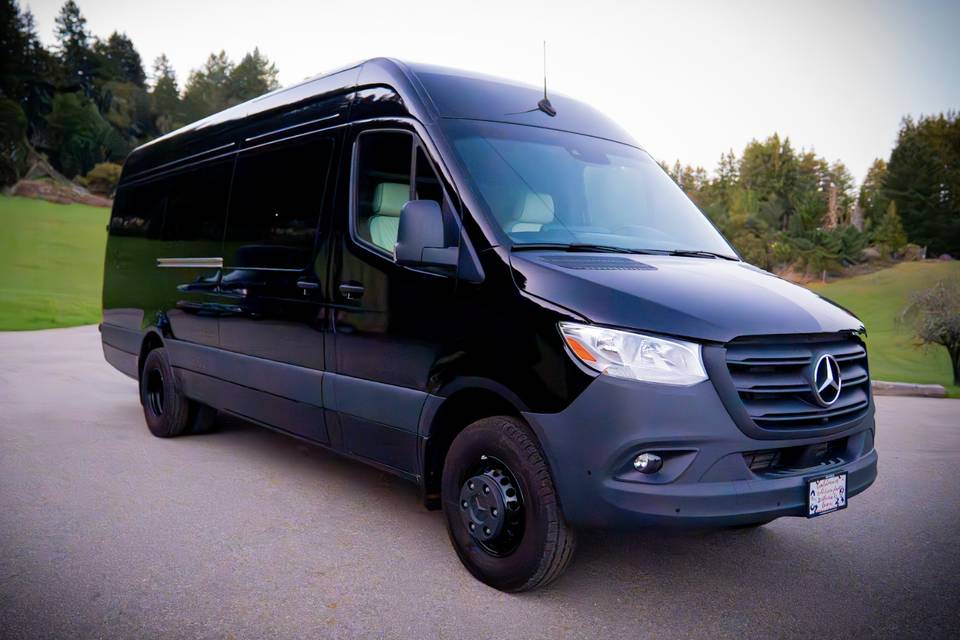 Luxury Sprinter Van