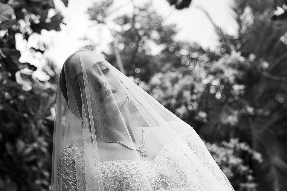 Ha Nguyen Photography