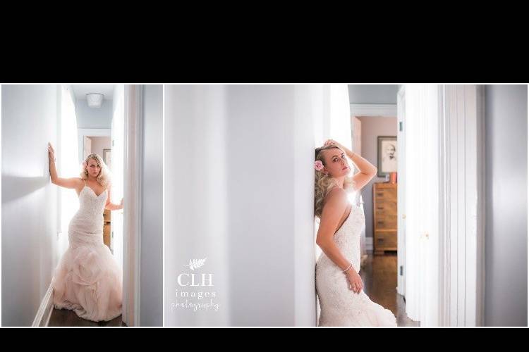 Gina Tarbell Artistry