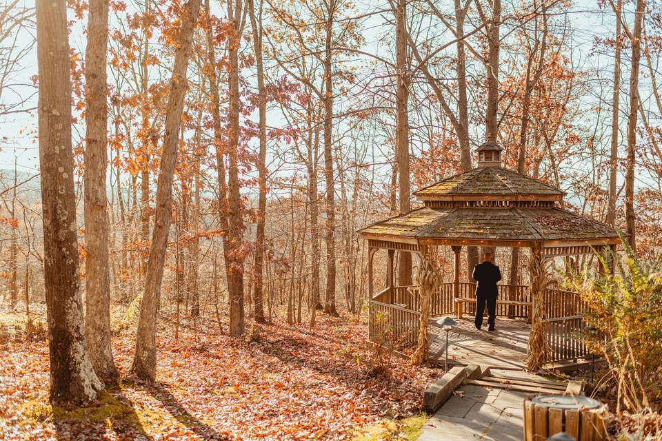 First Look in Gazebo