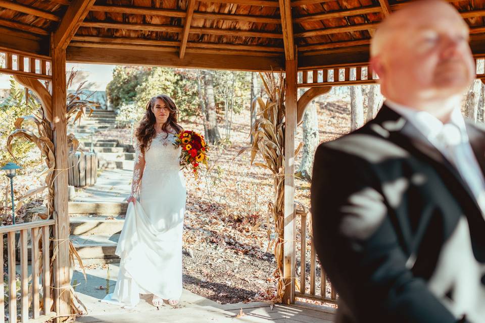 First Look in Gazebo