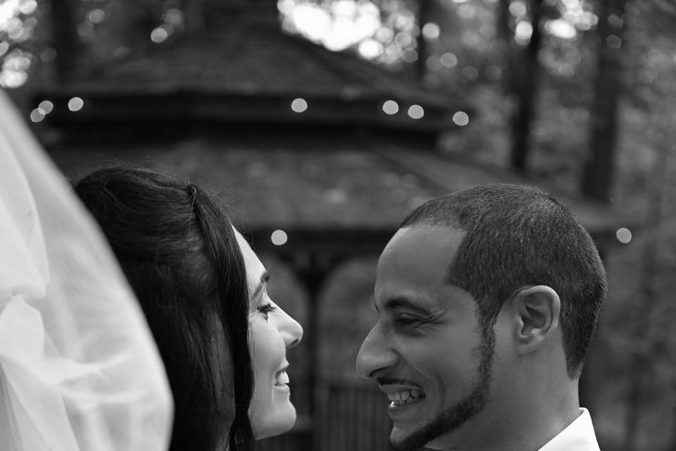 Wedding Portraits