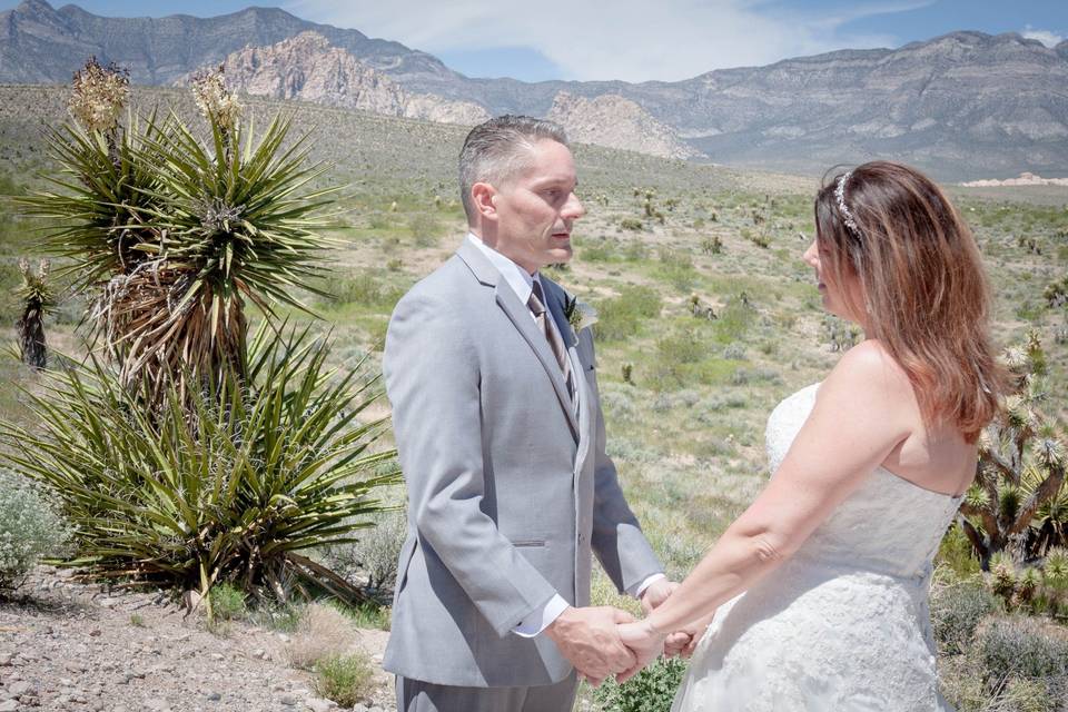 Red Rock Canyon Wedding