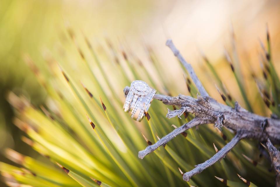 Wedding Ring in the Desert