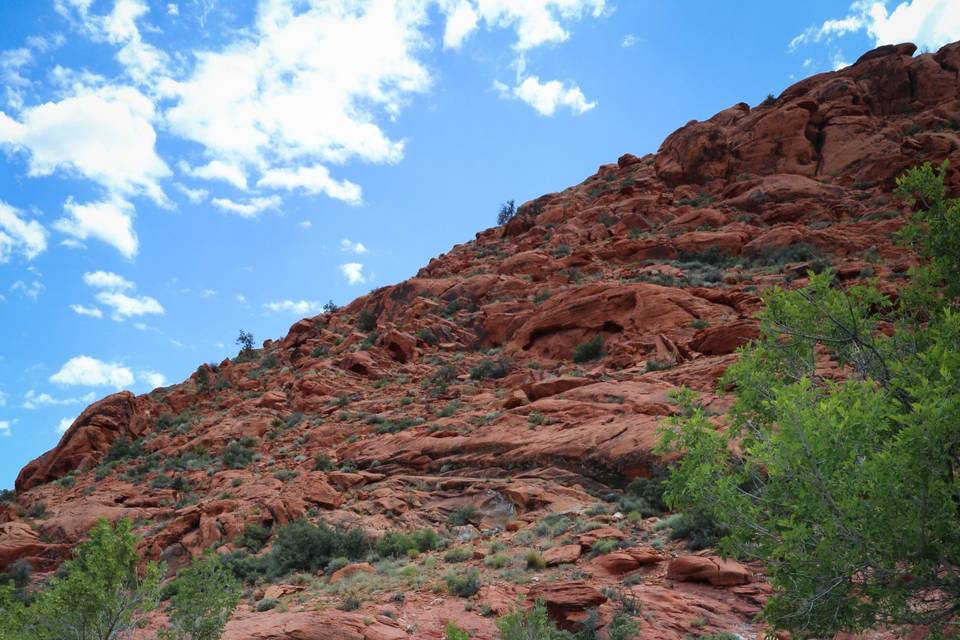 Red Rock Canyon Wedding