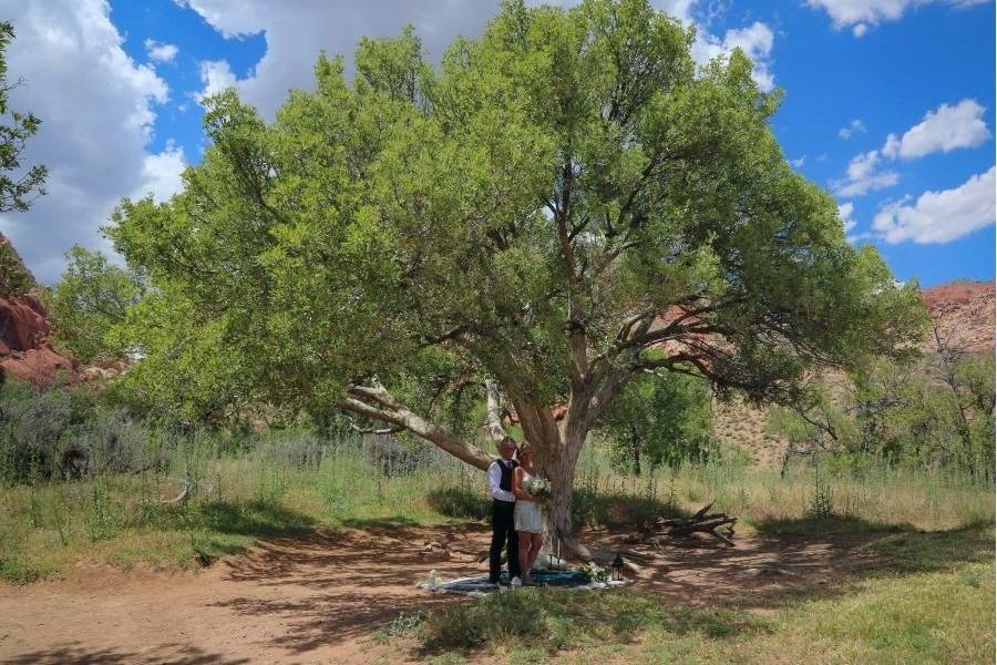 Red Rock Canyon Elopement