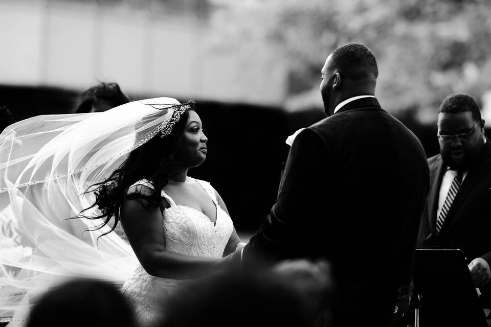 Adore Wedding Photography