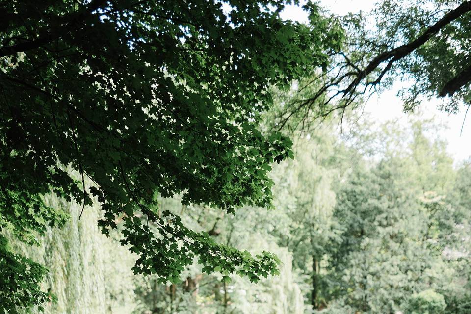 Pond walk