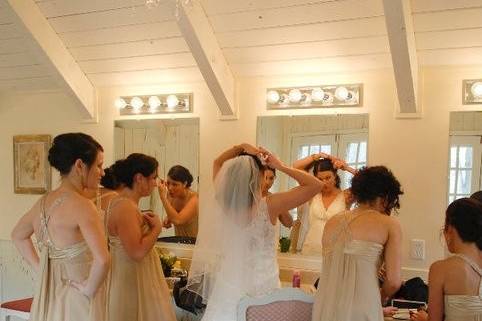 The bride with her bridesmaids