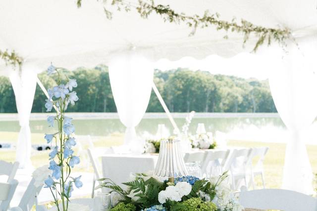 Blue and White Aesthetic