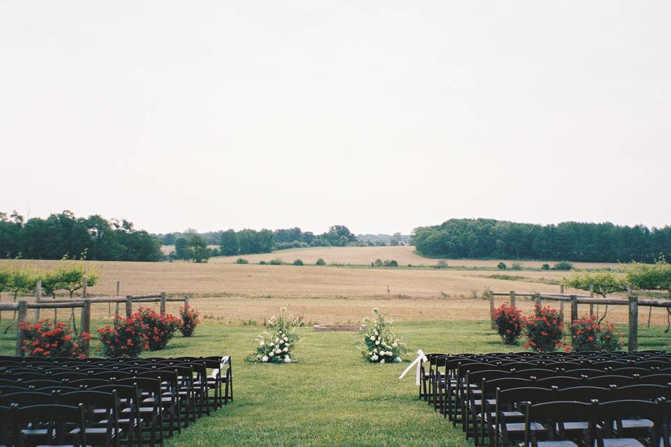Kentucky Winery Ceremony