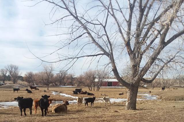 Situated on a working ranch