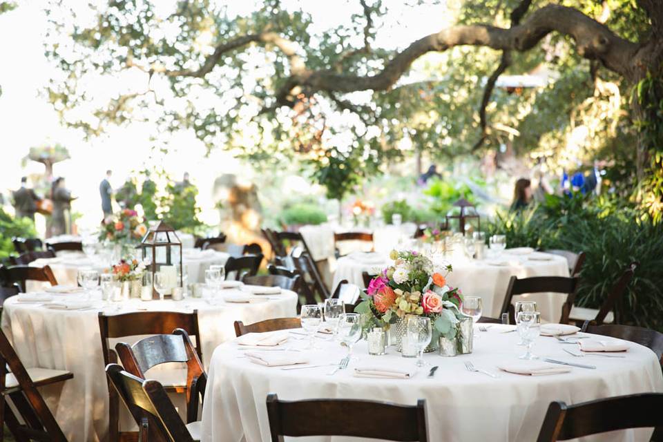 Romantic outdoor banquet