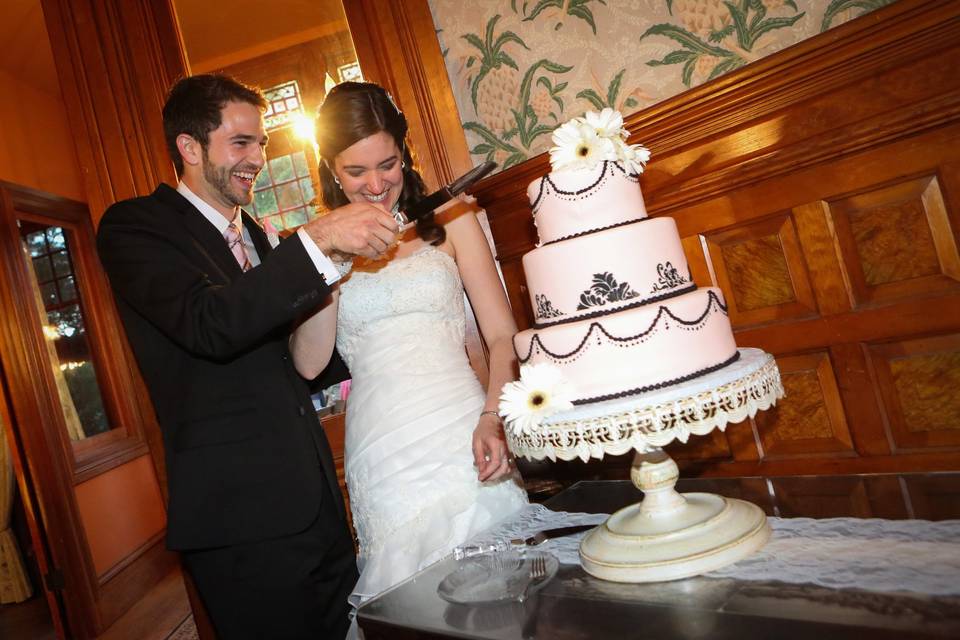 Wedding cake cutting