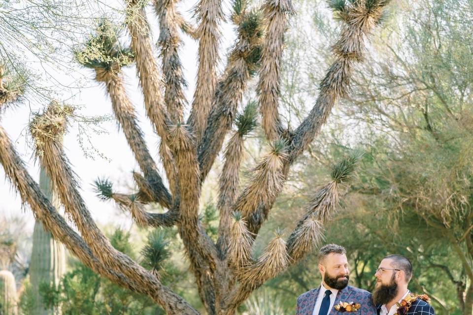 Elopement Springs Preserve