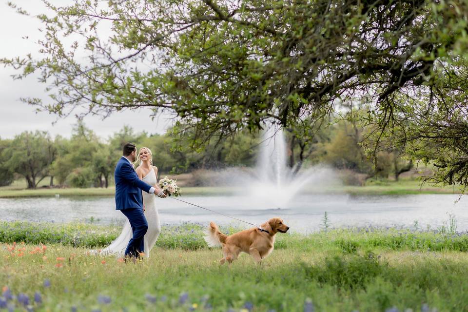 Timeless Wedding