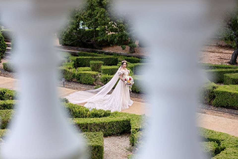 Timeless Wedding