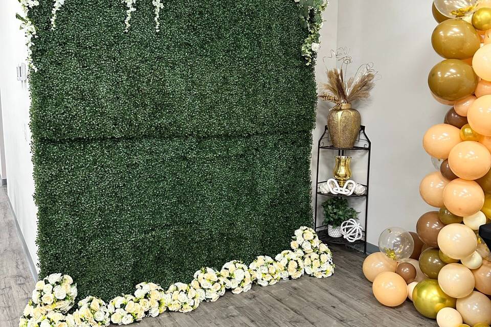 Backdrop