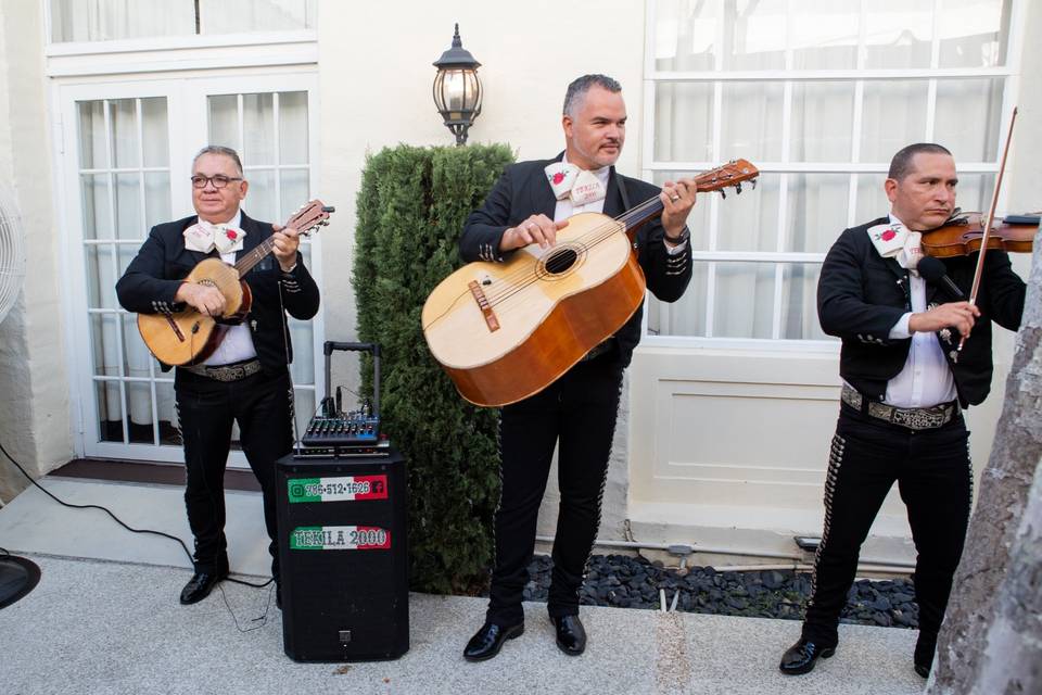 Live music in the courtyard