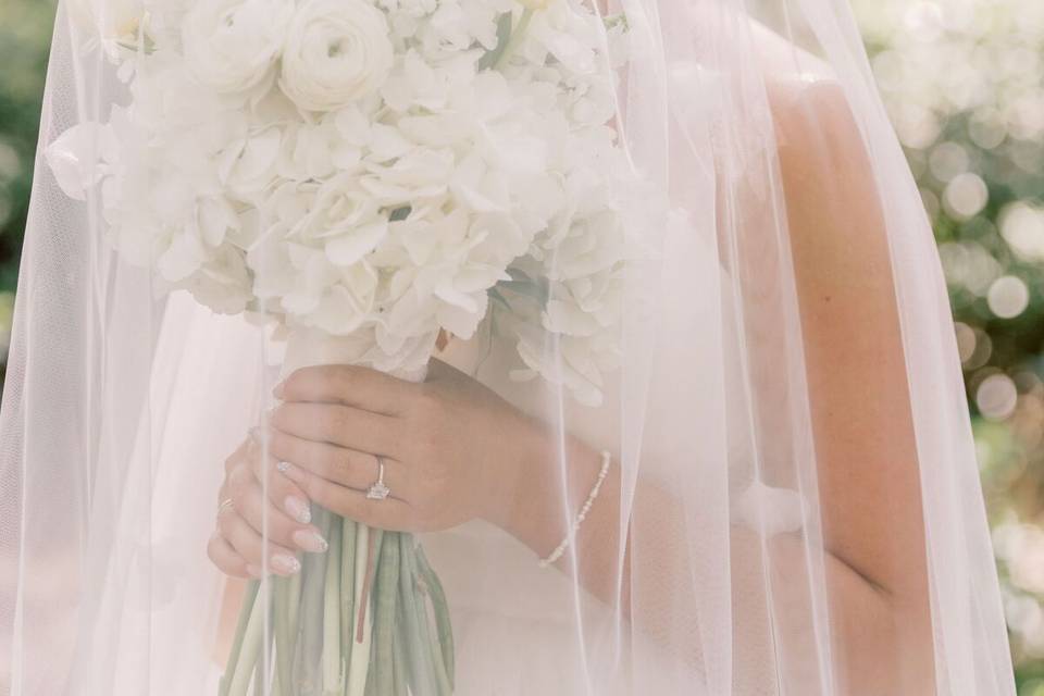 Behind The Veil