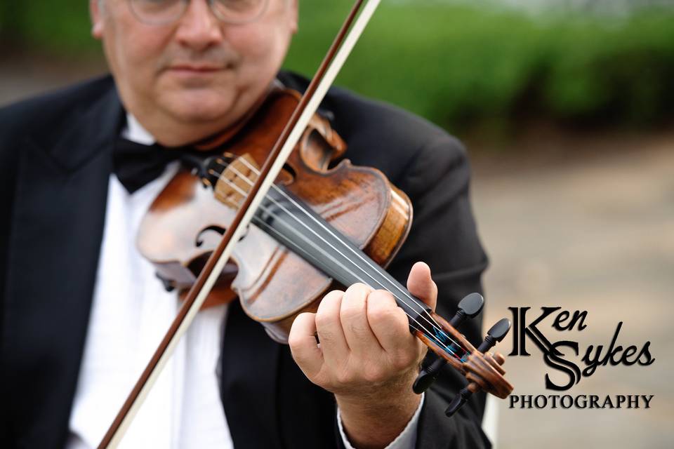 Violins perform the melody.