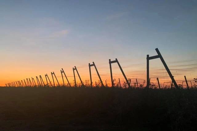 Phoenix Family Farm