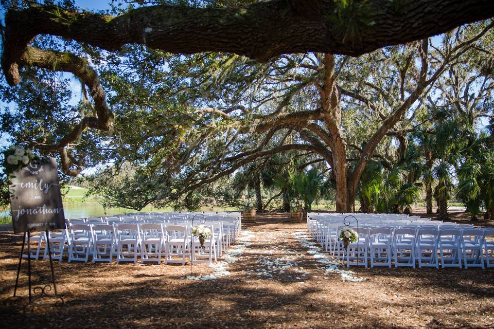 Our stunning whispering oak