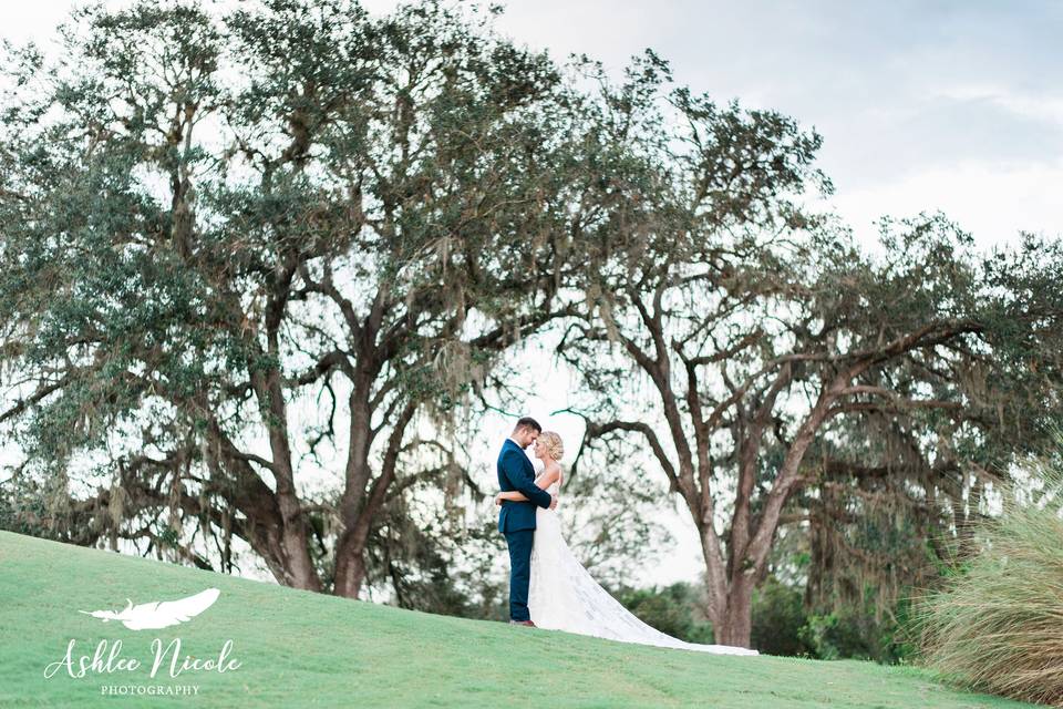 Trees -  Photo Credit: Ashlee Nicole