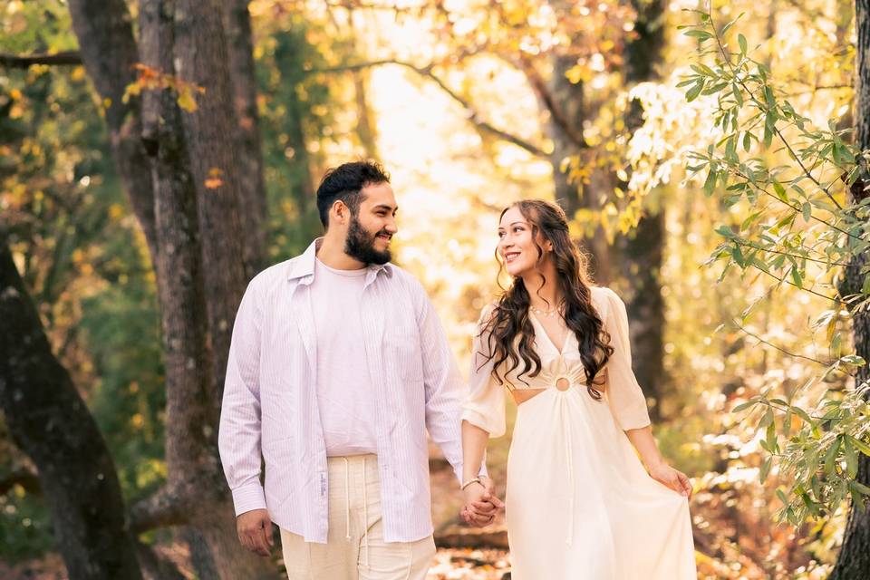 Gatlinburg elopement